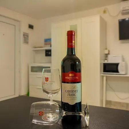 Irena Lovely Apartmens 维尔