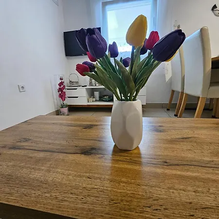 アパート Irena Lovely Apartmens ヴィル